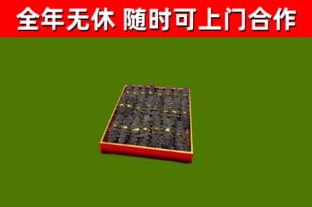 雨花回收海参